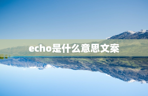 echo是什么意思文案
